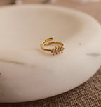secret ring